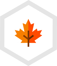 004-maple